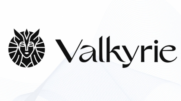 Второй пошел: cтартовали торги биткоин-ETF компании Valkyrie Investments